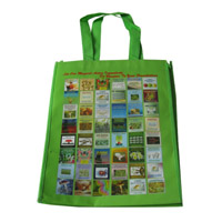 怀化LB11覆膜无纺布广告袋